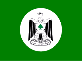 [Arab Socialist Organization (Lebanon)]